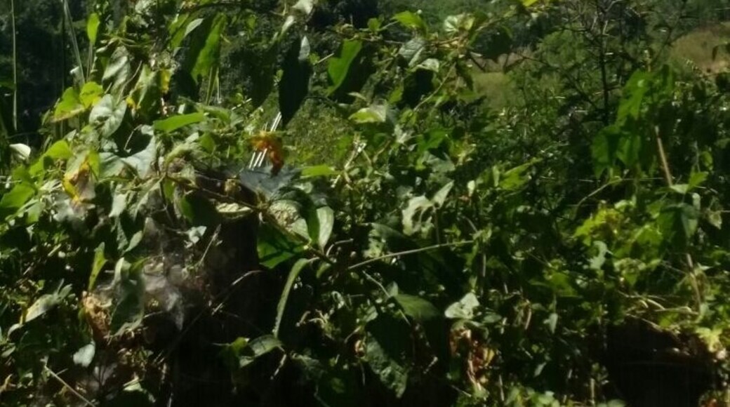 In Matagalpa, we helped rebuild a house for a family of nine using natural rock slabs from the surrounding mountains.