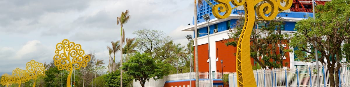 Managua featuring street scenes and outdoor art