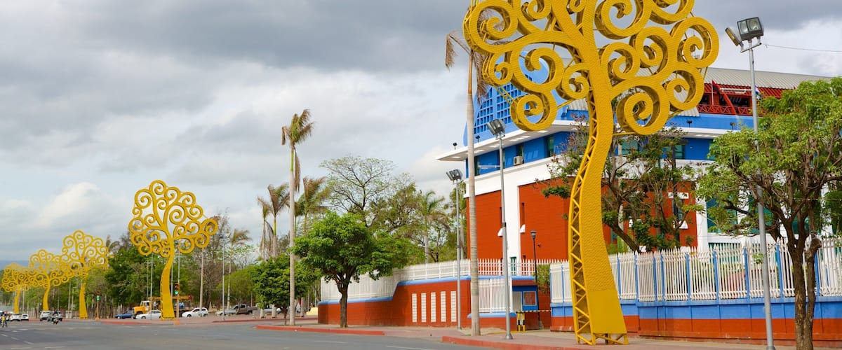 Managua featuring outdoor art and street scenes
