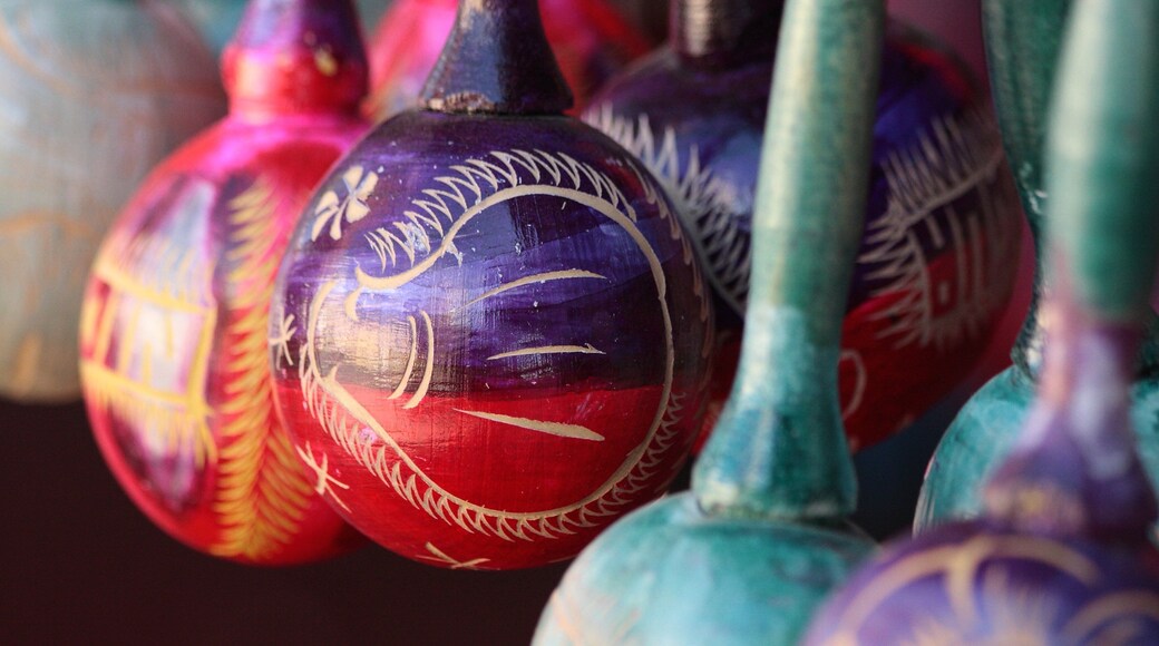 Managua which includes art and a festival