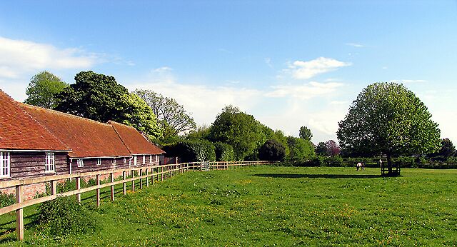 A wooden house with a red roof, a fenced field, and a large tree.