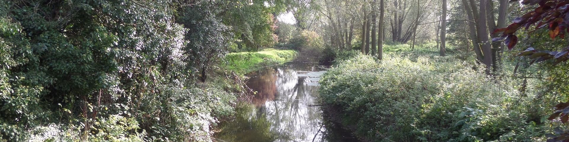 River Blackwater