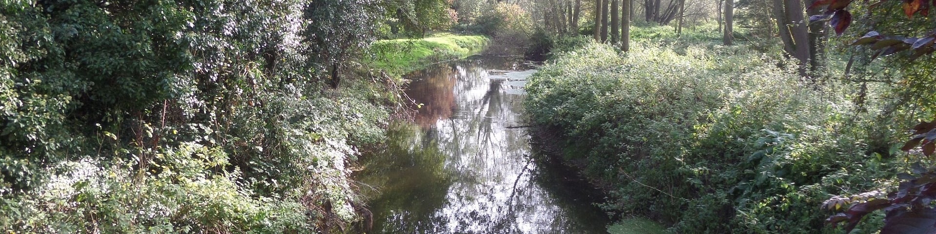 River Blackwater
