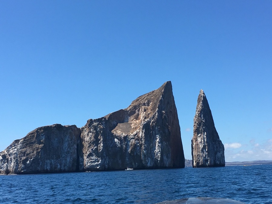 It's one of the best places to snorkeling in Galapagos Islands #blue