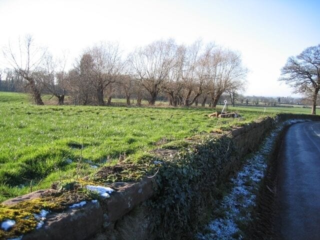 Pond and Willows at Bolesworth This old pond, on the Bolesworth estate, is surrounded by a circle of pollarded willows. It seems likely that they were grown specifically for their many uses.