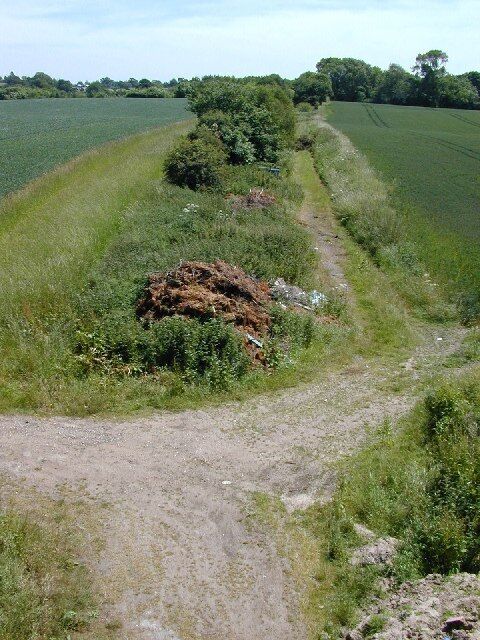 Course of disused railway near Duckington. Looking south from the road bridge.