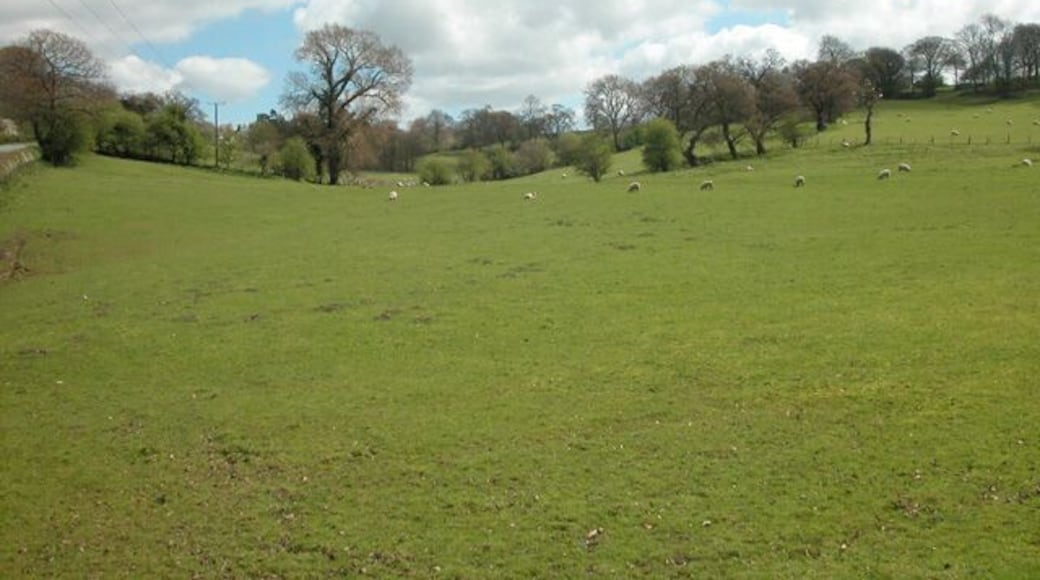 Barnhill Road Farmland near the Wrexham to Nantwich road to the east of Broxton.