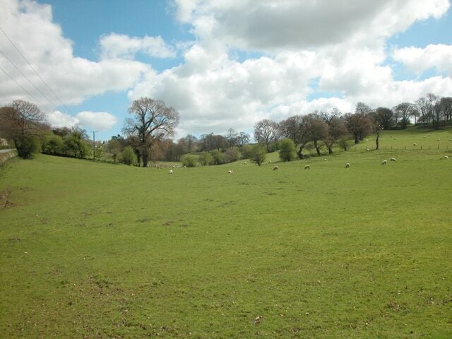 A grassy field with sheep and trees under a partly cloudy sky.