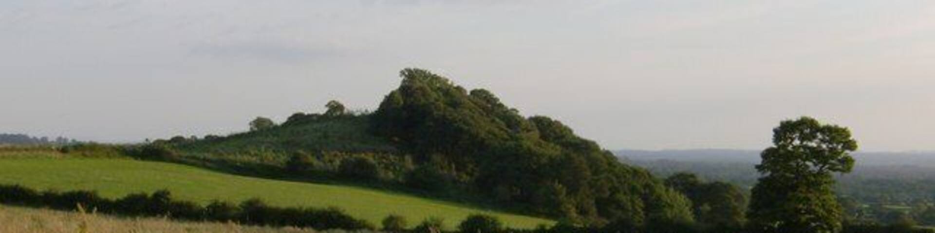Hill top copse near Duckington Not much in this square apart from open fields with rolling hillside and two woods, this one is the Southernmost and commands a view over the Dee valley to the West.