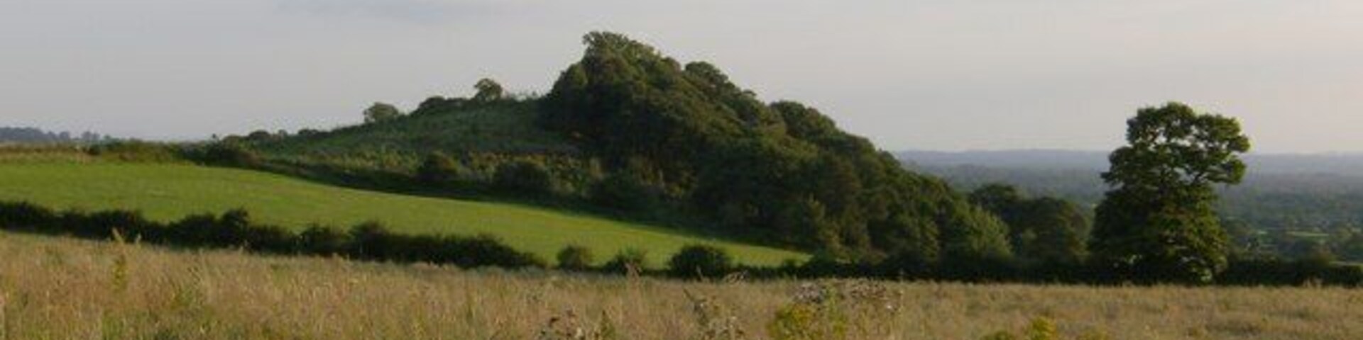 Hill top copse near Duckington Not much in this square apart from open fields with rolling hillside and two woods, this one is the Southernmost and commands a view over the Dee valley to the West.