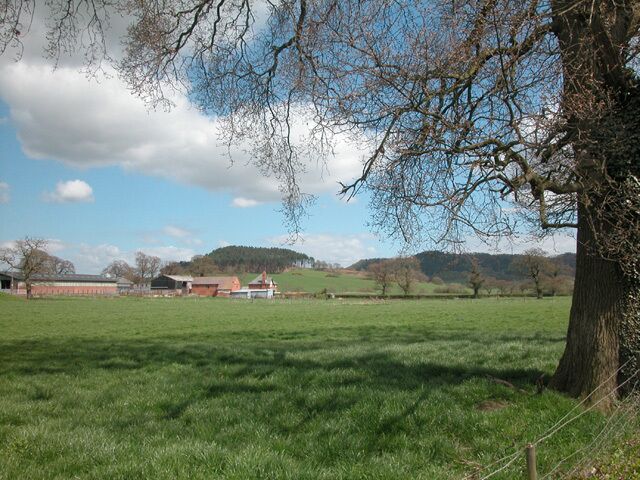 Barnhill Farmland near the Wrexham to Nantwich road close to Durham Heifer public house.