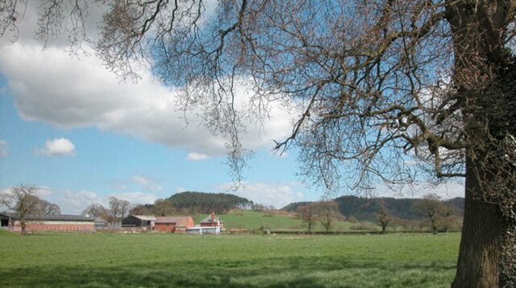 Barnhill Farmland near the Wrexham to Nantwich road close to Durham Heifer public house.