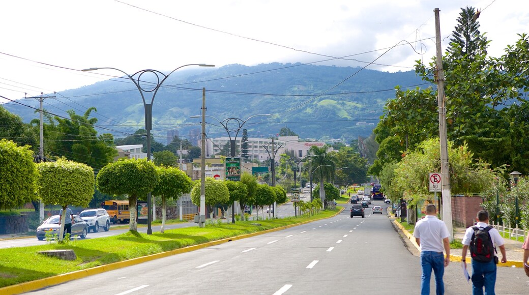 San Salvador showing street scenes and mist or fog