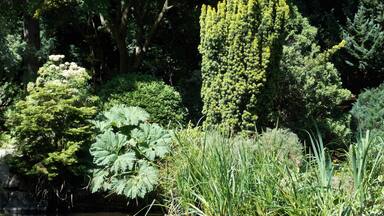 Good to visit anytime of the year, the gardens are maintained well