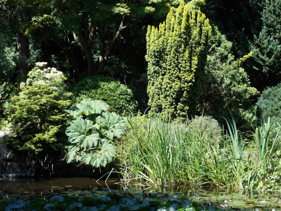 Good to visit anytime of the year, the gardens are maintained well