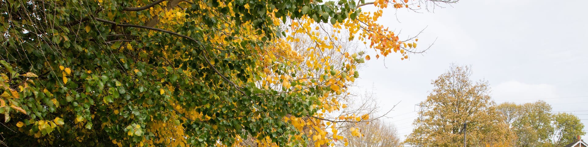 A canal boat cruising the River Lea Navigation between Enfield Lock and Waltham Cross, surrounded by trees in warm autumn colours.