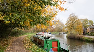 A canal boat cruising the River Lea Navigation between Enfield Lock and Waltham Cross, surrounded by trees in warm autumn colours.