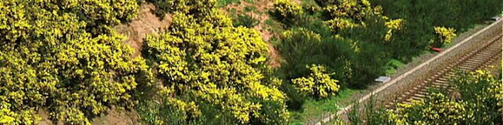 Annesley - Robin Hood Hills