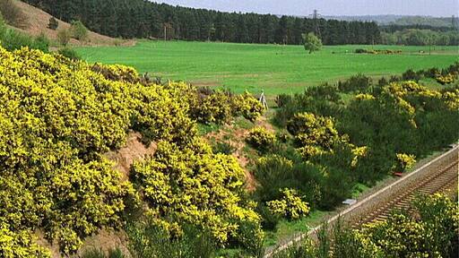 Annesley - Robin Hood Hills