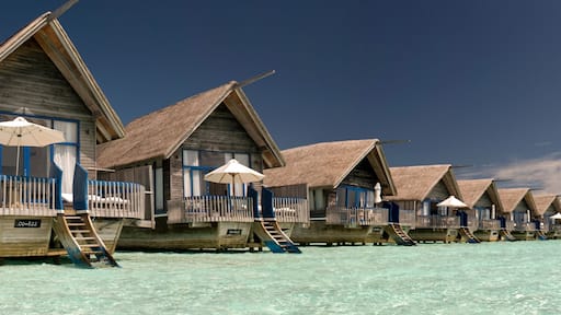 Makunufushi