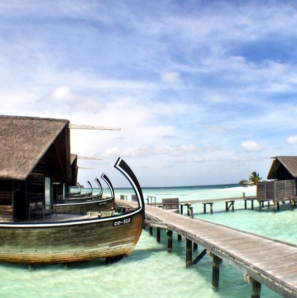 Dhoni Suite.