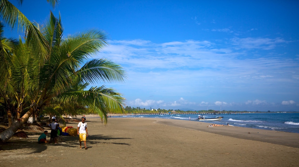 Côte Nord qui includes plage de sable et scènes tropicales aussi bien que petit groupe de personnes