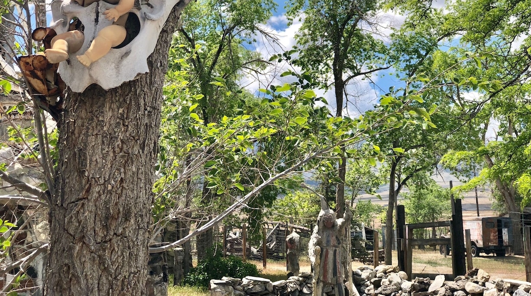 Located about 35 miles west of Winnemucca and visible from I80, the Thunder Mountain Monument was built by Frank Van Zant aka 'Chief Rolling Mountain Thunder' (1921-1989). He moved here in 1968 with his wife and three small children. He started building his unique environment using only discarded items he found within a 50 mile radius of the property. In fact, the only thing he purchased was cement. In 1983 he was named Nevadaâs Artist of the Year. Sadly, he committed suicide in 1989. His oldest son now owns the property. The grounds are open to the public.
More info Is available here:
http://www.thundermountainmonument.com/index.htm