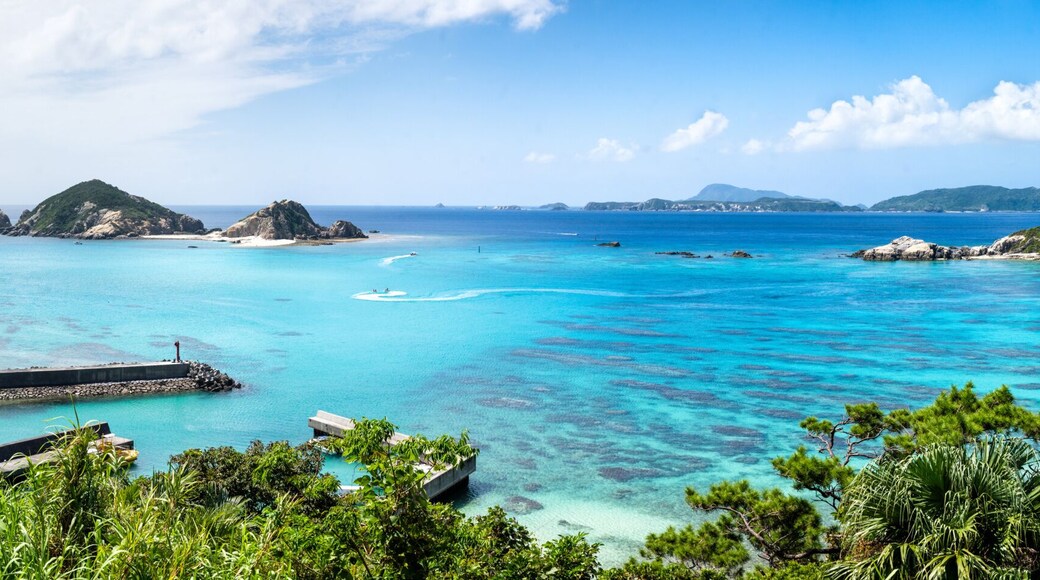 Una platja tropical amb aigües turqueses cristal·lines, un moll i vegetació exuberant.