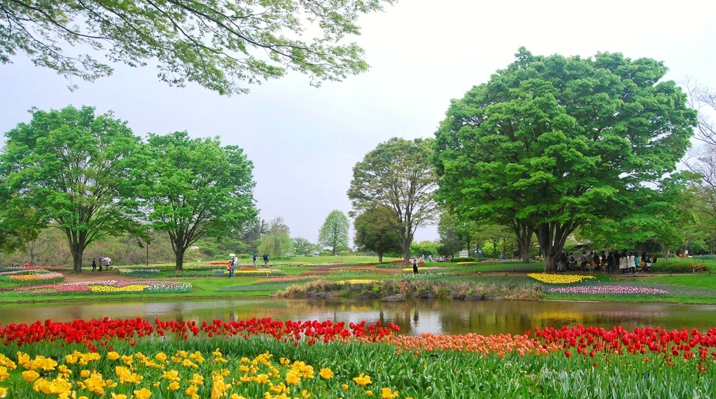 Showa Kinen Park or Showa Commemorative National Government Park is a national government park in Akishima and Tachikawa, Tokyo, Japan.