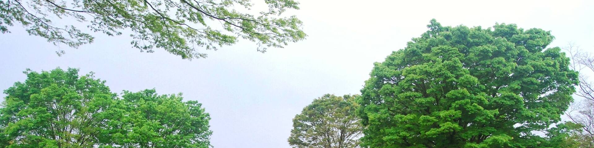 Showa Kinen Park or Showa Commemorative National Government Park is a national government park in Akishima and Tachikawa, Tokyo, Japan.