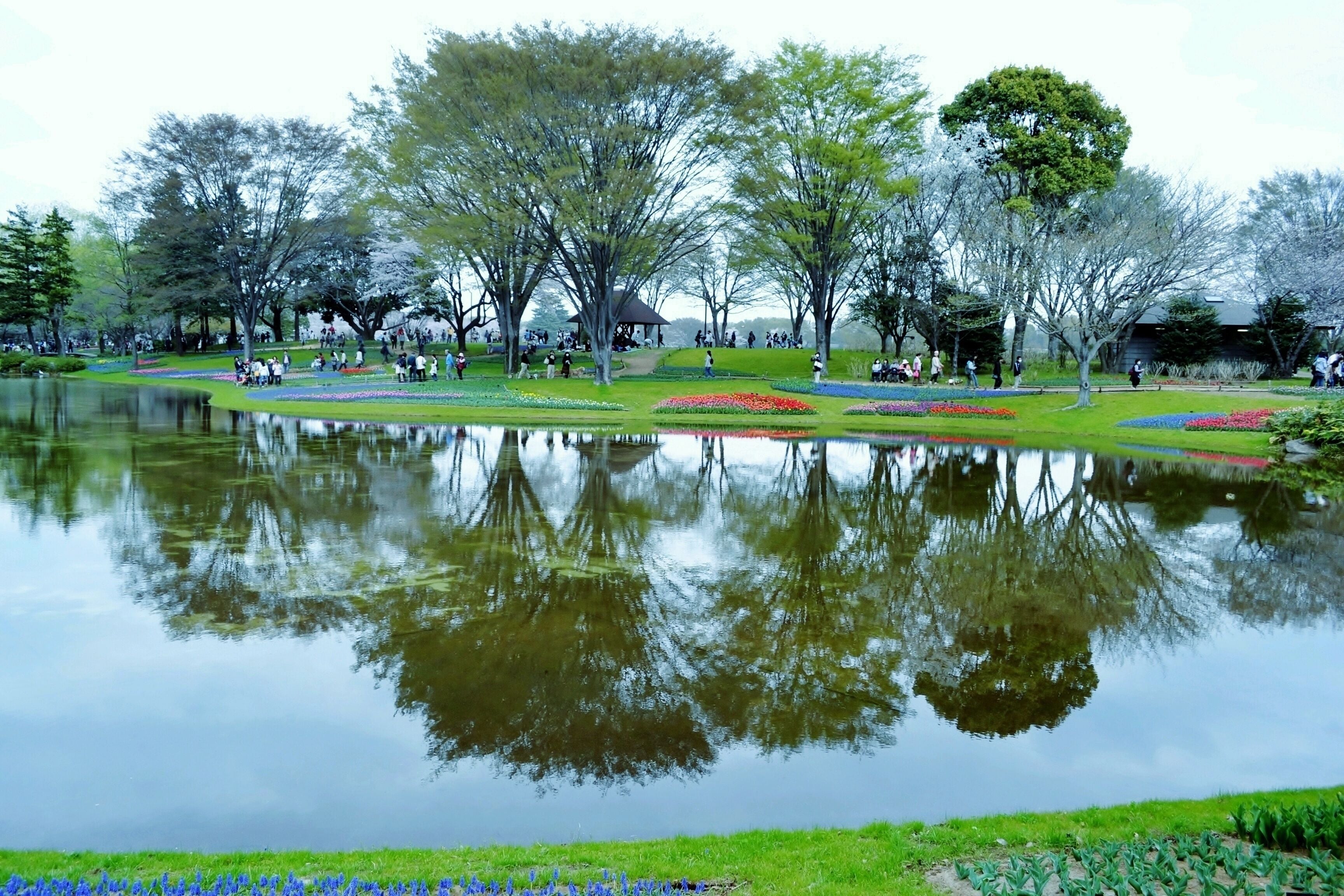 A park with a pond, trees, and flower beds.
