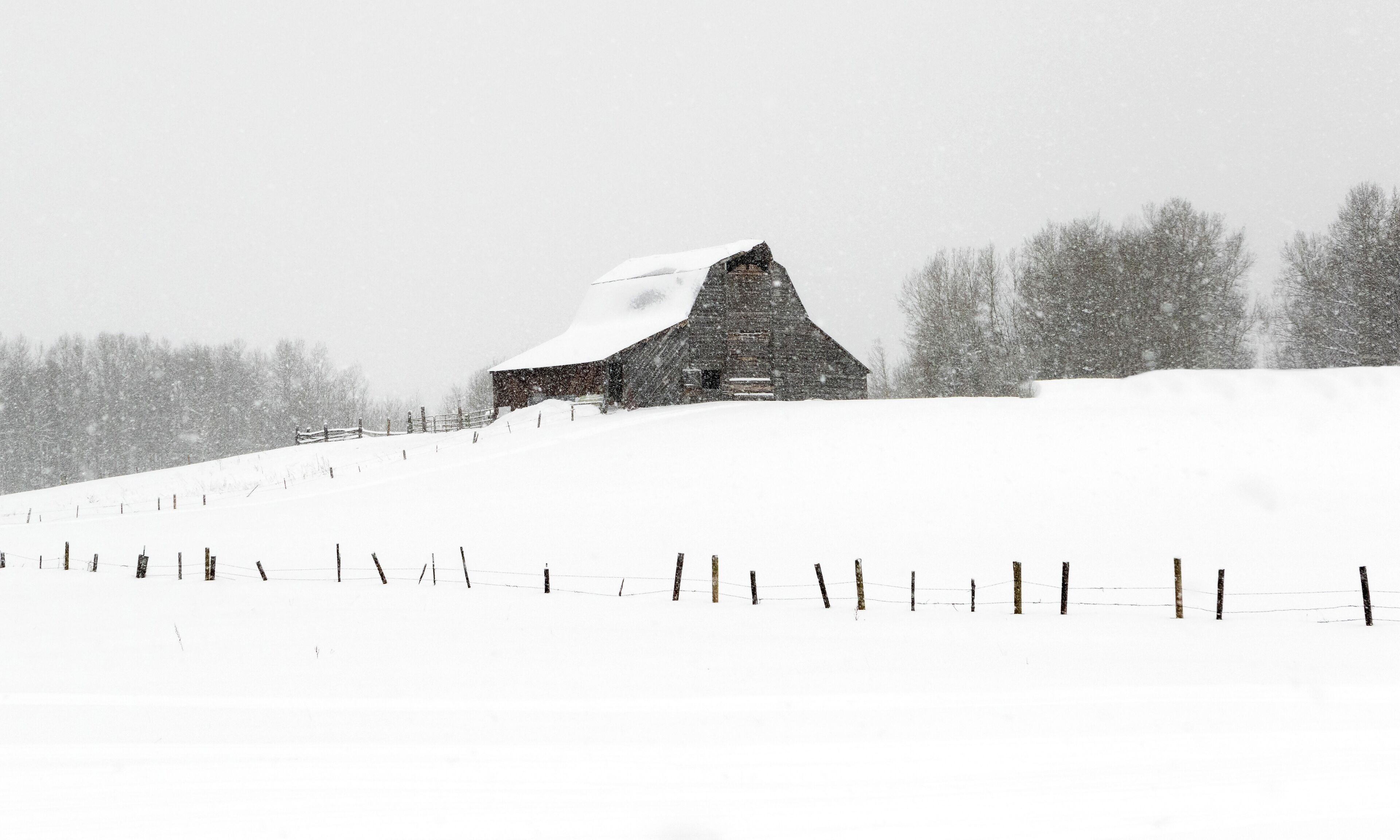 Winter Barn