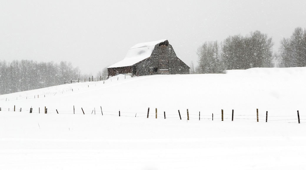 Winter Barn