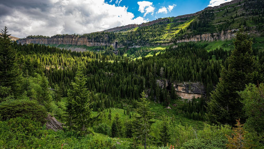 Eine gebirgige Landschaft mit dichten Wäldern, einem Fluss und einer steilen Felswand.