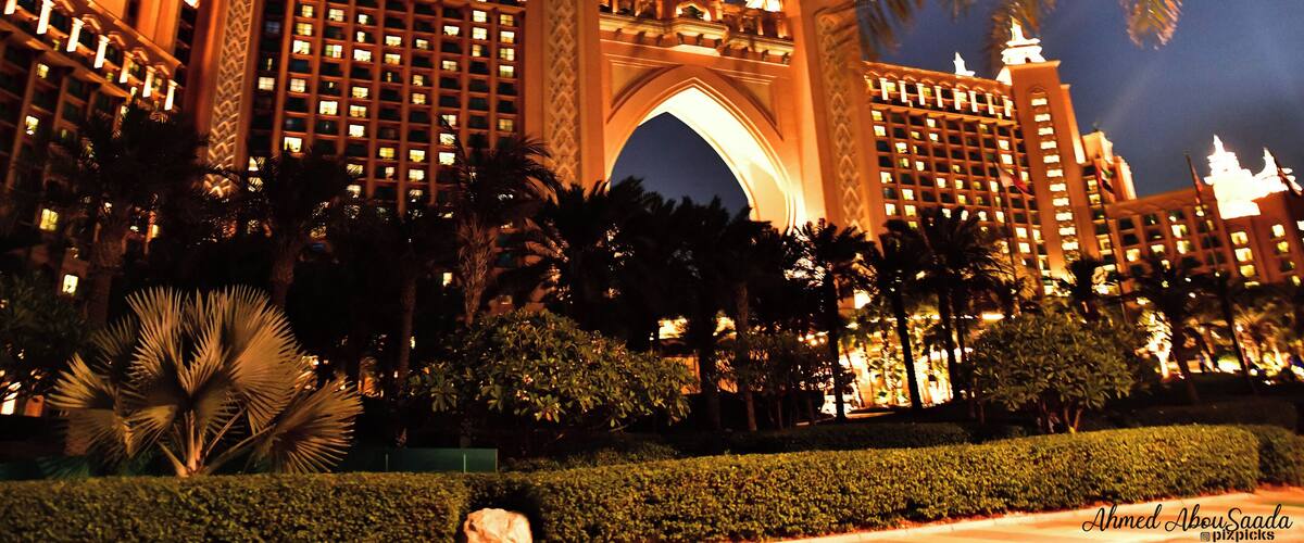 A grand hotel with an ornate archway, palm trees, and well-lit buildings at night.