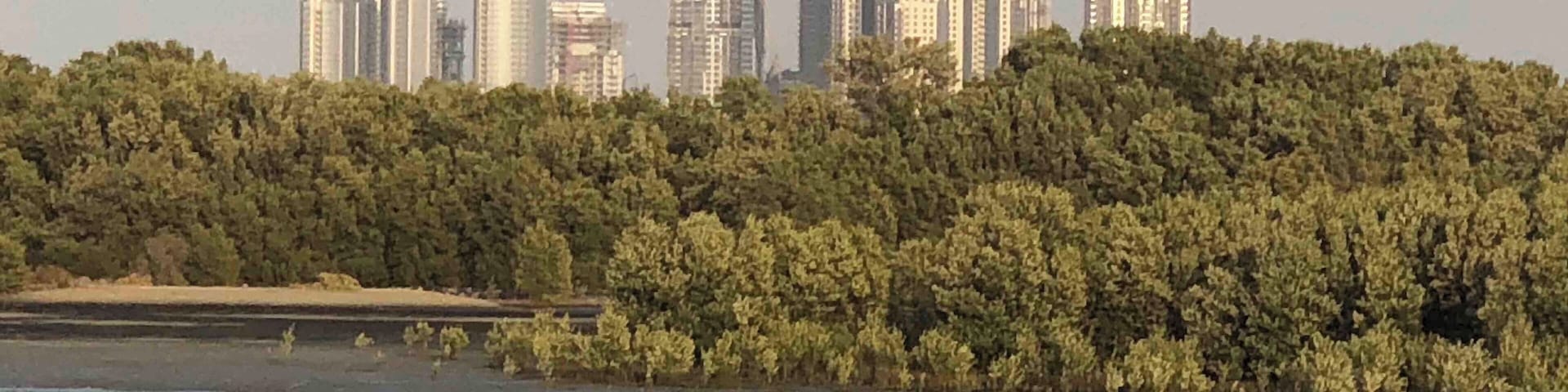 Flamingoes with modern buildings behind