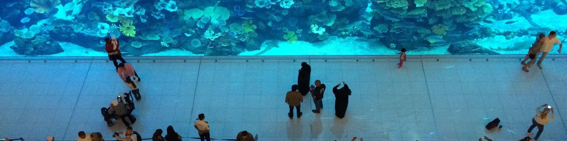 Aquarium Dubai Mall