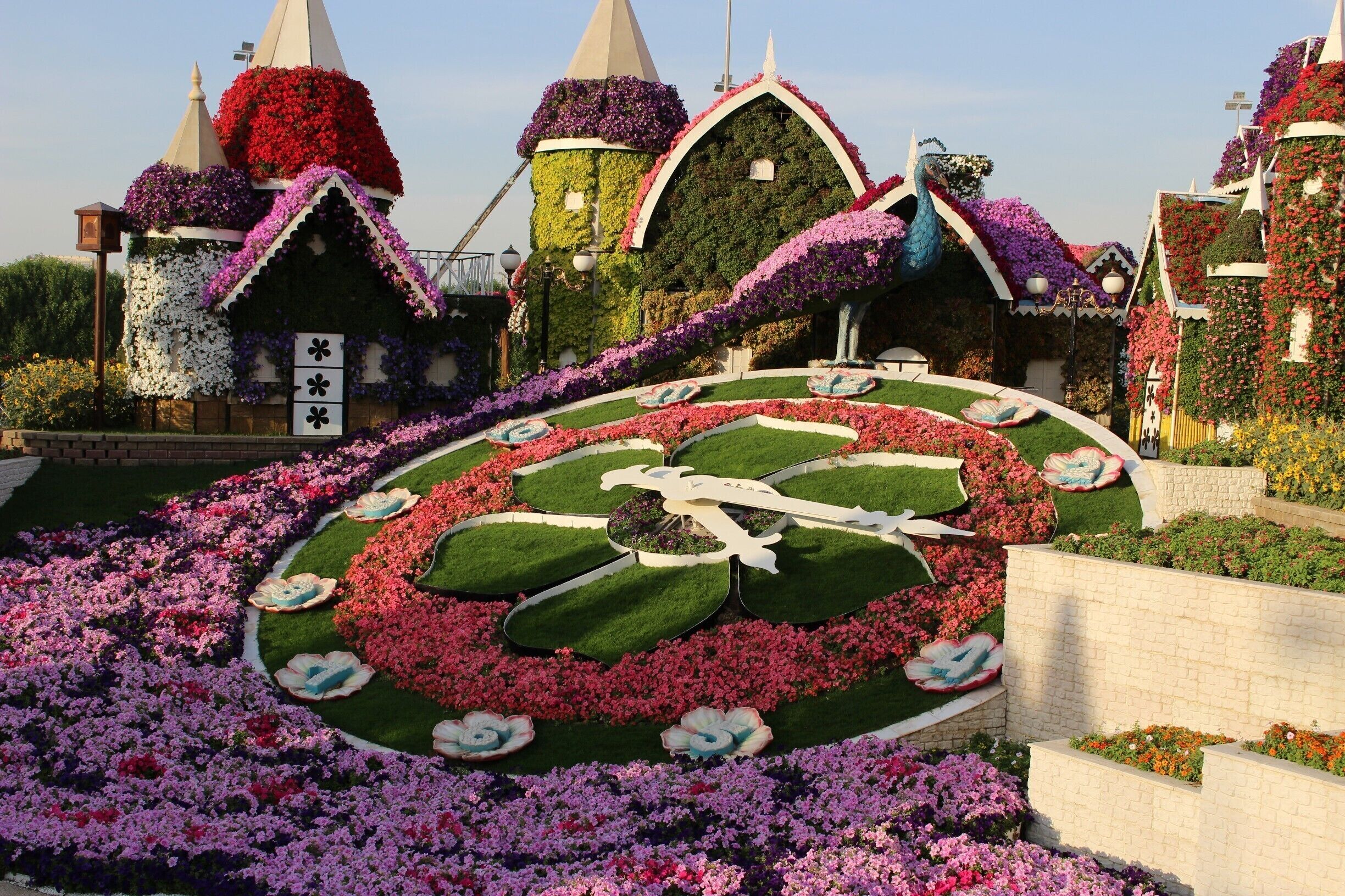 One of the most amazing floral decoration I've ever seen. Dubai Miracle Garden has a world record for the largest floral installation - Truly a MIRACLE

#LifeAtExpedia #Colors