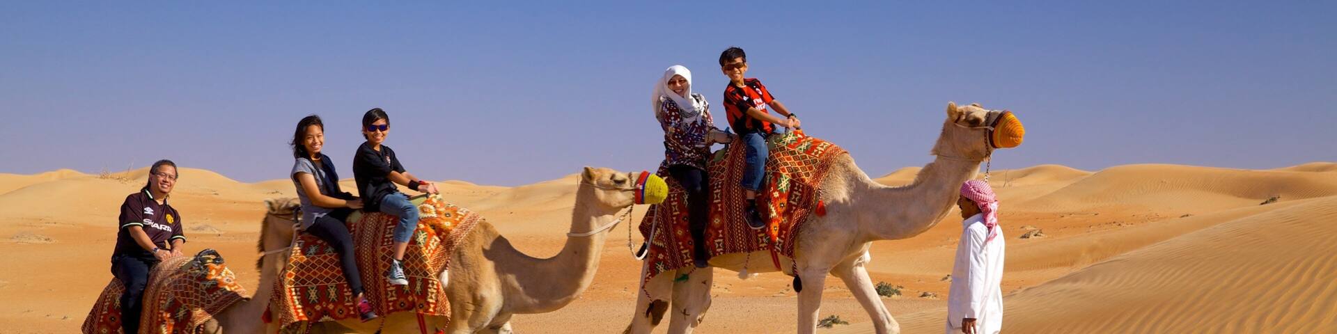 Désert de Dubaï montrant vues du désert et animaux terrestres aussi bien que petit groupe de personnes