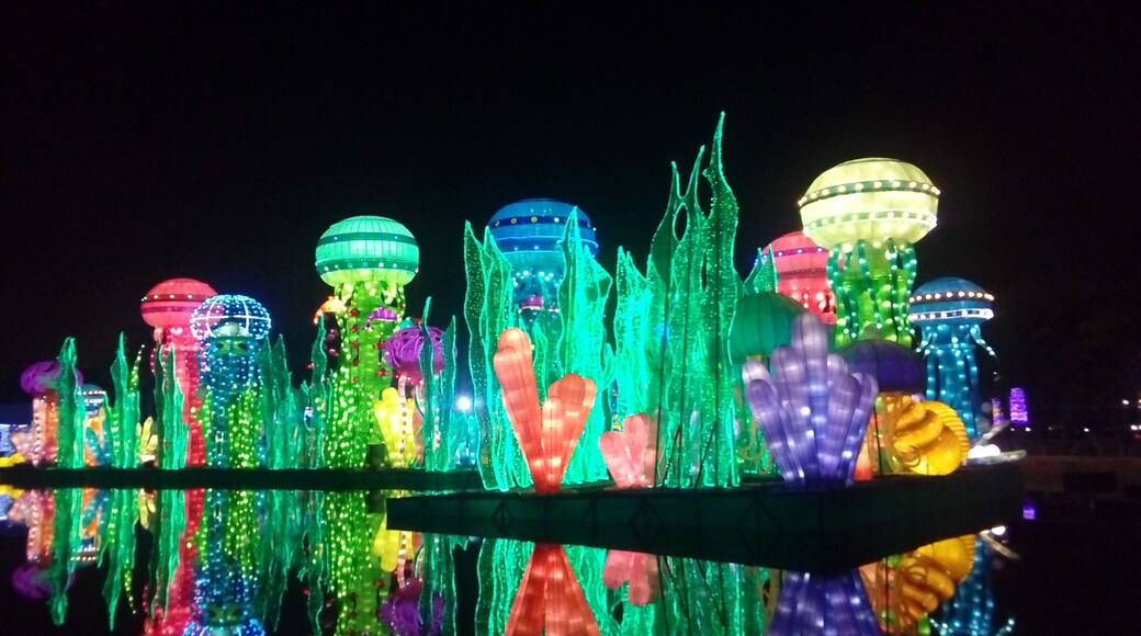 Amazing park, the Glow Garden is brilliant - Highly Recommend