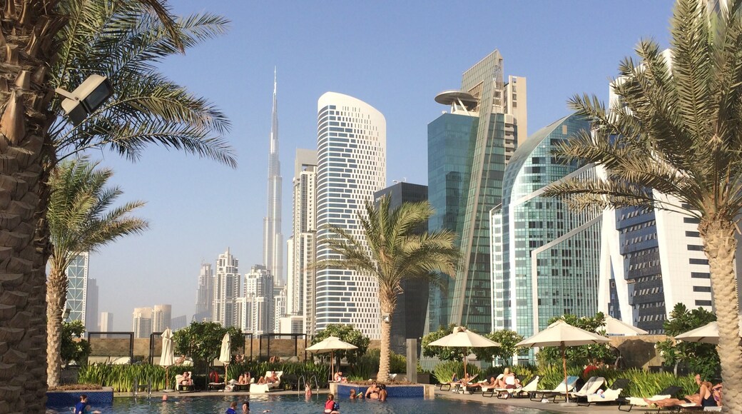 Pool view in Dubai. Nice break from the heat.