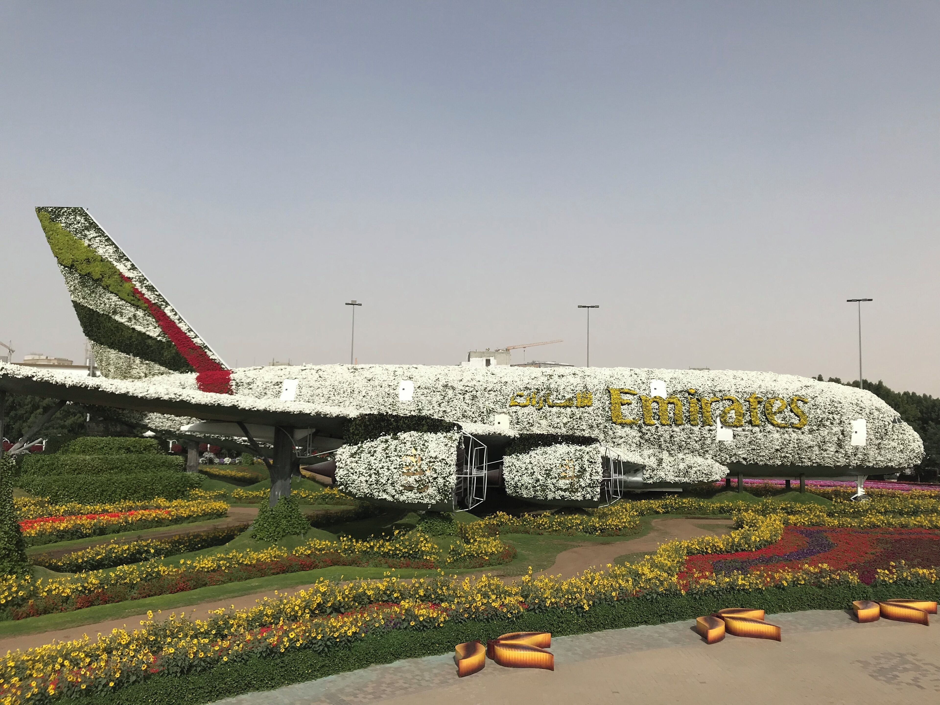 impossible mission
A  flowers garden in the middle of the desert