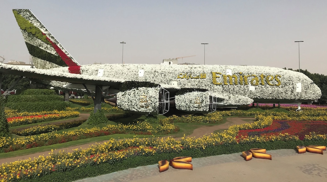 impossible mission
A flowers garden in the middle of the desert