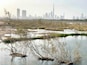Wetlands for birds watching with Dubai Skyline behind