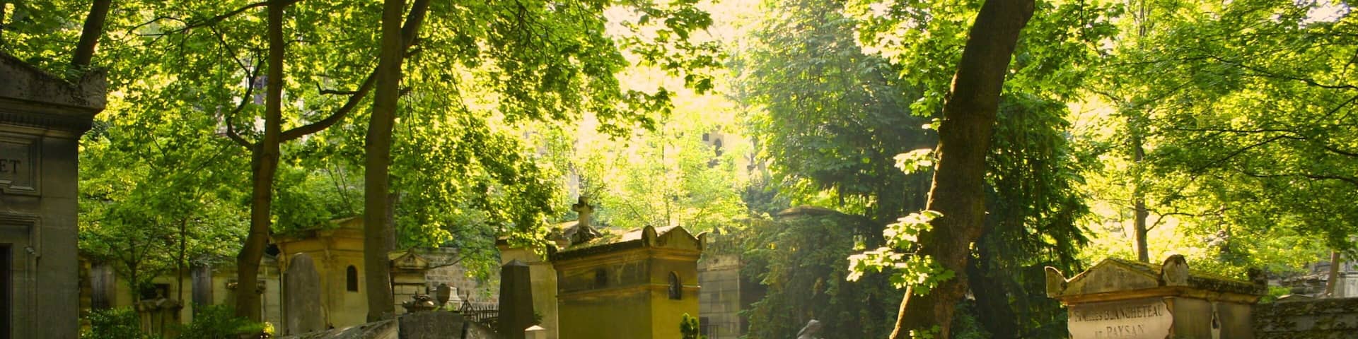 Exploring the serene pathways of Pere Lachaise Cemetery in Paris surrounded by lush greenery