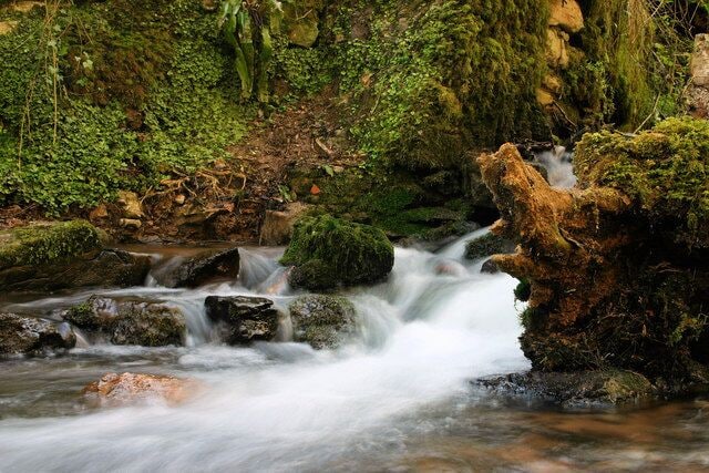 Un arroyo serpentea sobre rocas en un área boscosa, con rocas y árboles cubiertos de musgo.