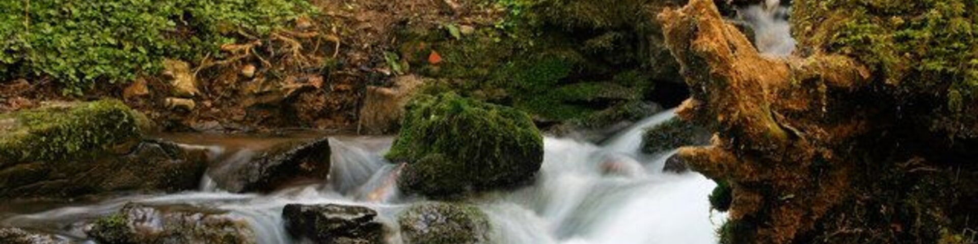 Un arroyo serpentea sobre rocas en un área boscosa, con rocas y árboles cubiertos de musgo.