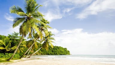La Sagesse Bay, Grenada