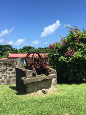 The Westerhall Estate offers a lovely alternative from the beaches. The guide is incredibly knowledgable about the rum making process as it was done in the days before automation. The various pieces of equipment, though no longer operational, are well maintained and scattered throughout the property. You get to sample seven different rums so best to have a designated driver! Be sure to stop by the museum before you leave. It's full of history and interesting artifacts like the island's first car and an antique soft drink machine.