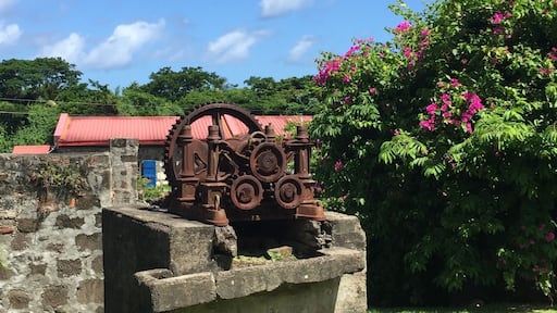 The Westerhall Estate offers a lovely alternative from the beaches. The guide is incredibly knowledgable about the rum making process as it was done in the days before automation. The various pieces of equipment, though no longer operational, are well maintained and scattered throughout the property. You get to sample seven different rums so best to have a designated driver! Be sure to stop by the museum before you leave. It's full of history and interesting artifacts like the island's first car and an antique soft drink machine.